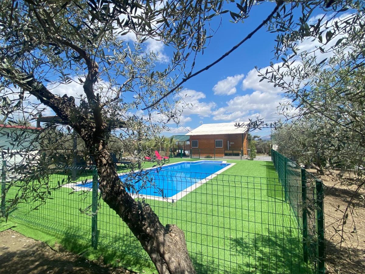 Villa Camino Del Palo Churriana de la Vega Esterno foto